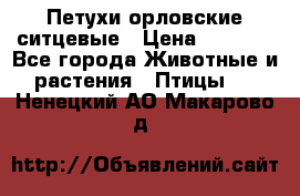 Петухи орловские ситцевые › Цена ­ 1 000 - Все города Животные и растения » Птицы   . Ненецкий АО,Макарово д.